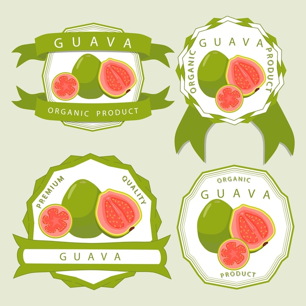 Vector sweet juicy tasty natural eco product guava