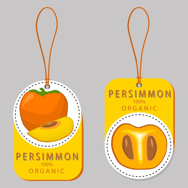 Vector sweet juicy tasty natural eco product persimmon