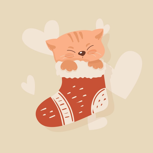 Vector sweet little cat sleeps in a sock