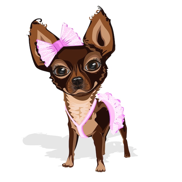 sweet little dog in pink clothes