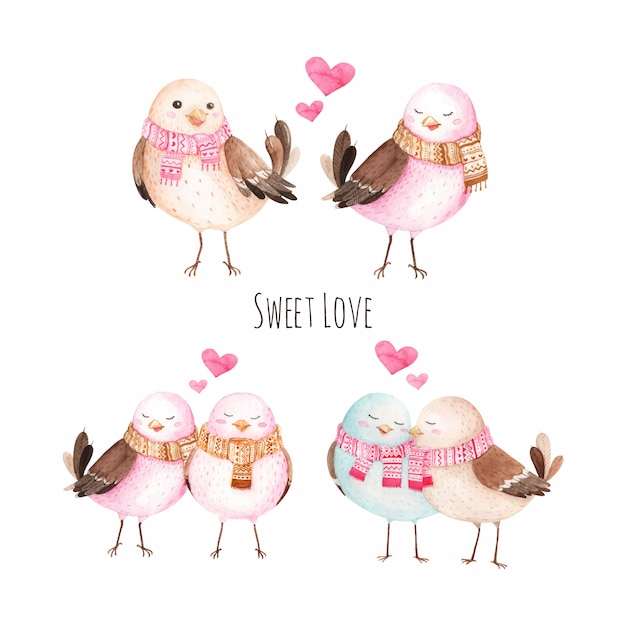 Sweet love bird watercolor illustration