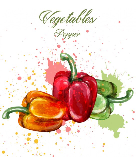 Sweet peppers watercolor