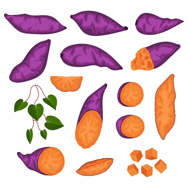 Vector sweet potato vector clip art element cassava ubi jalar