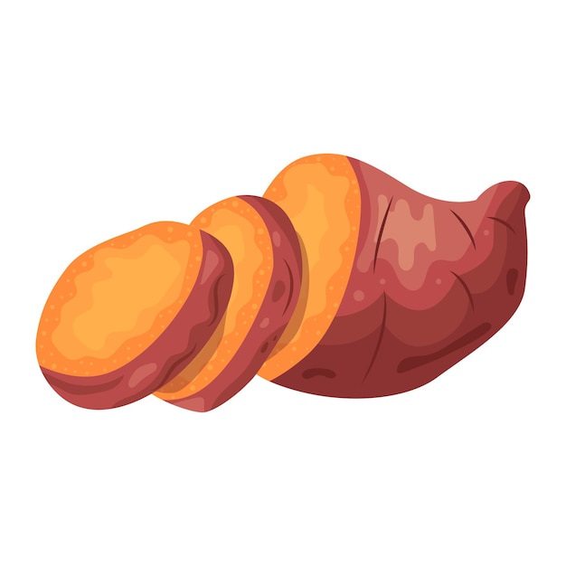 Vector sweet potato vector illustration