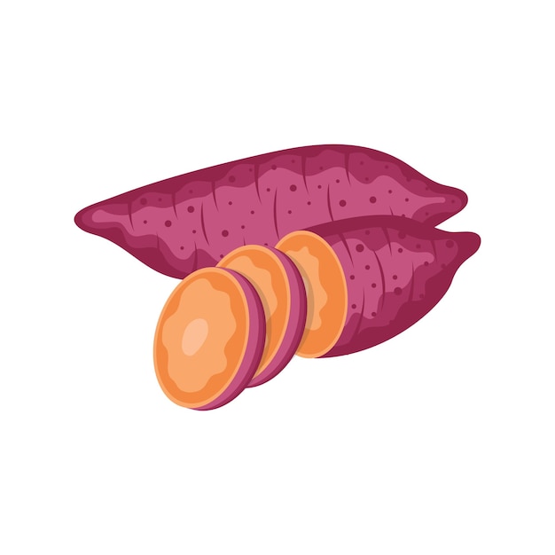 Sweet potato vegetable realistic drawing vector illustration