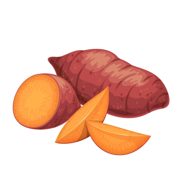 Vector sweet potato