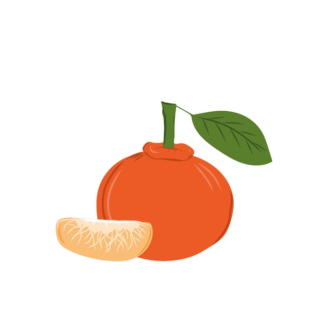 Vector sweet tangerine with green leaf and tangerine slice