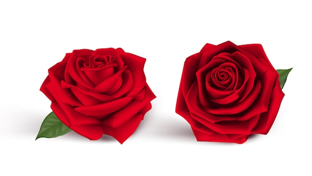 Sweet Valentines Day Background with Realistic Red Roses