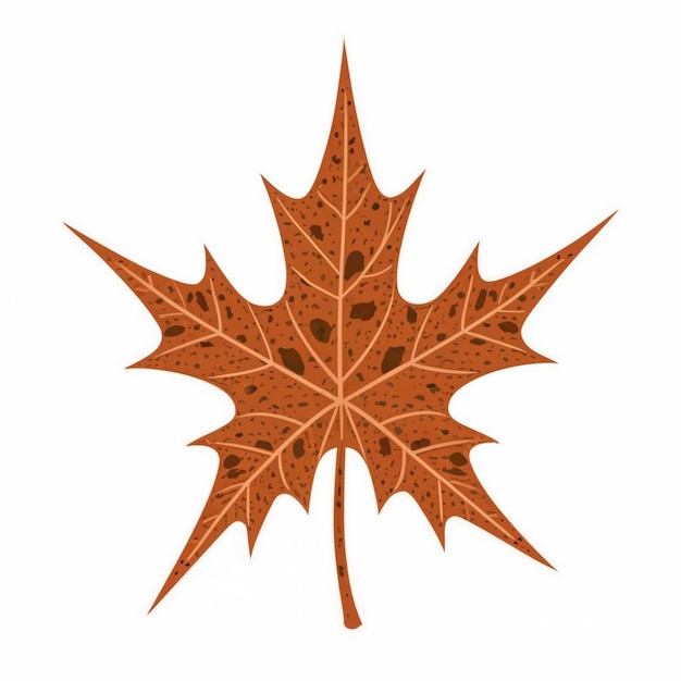 Vector sweetgum leaf vector illustration