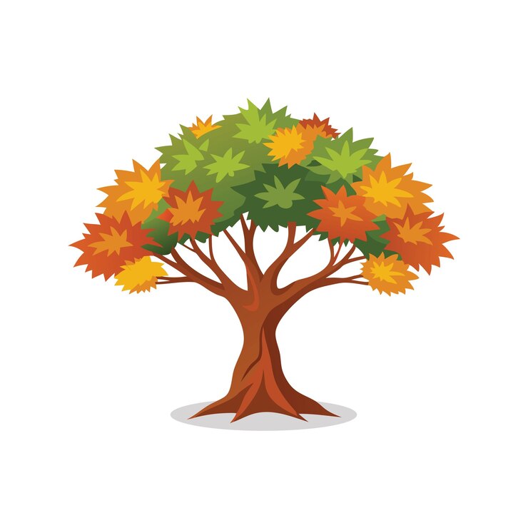 Vector sweetgum tree isolated flat vector illustration on white background