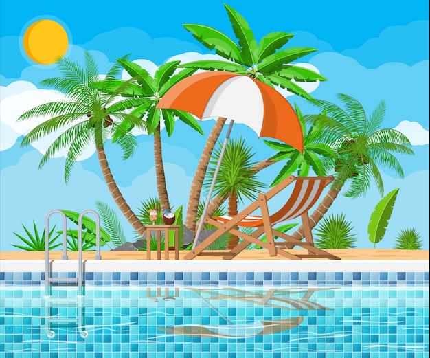 swimming pool and lounger, palm tree