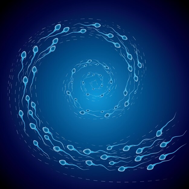 Swimming sperm,form the shape of the swirl.background is blue gradient.