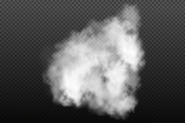 Вектор Клубящийся белый туман