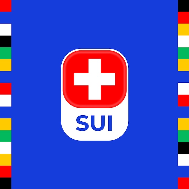 스위스 국기 축구 2024 토너먼트