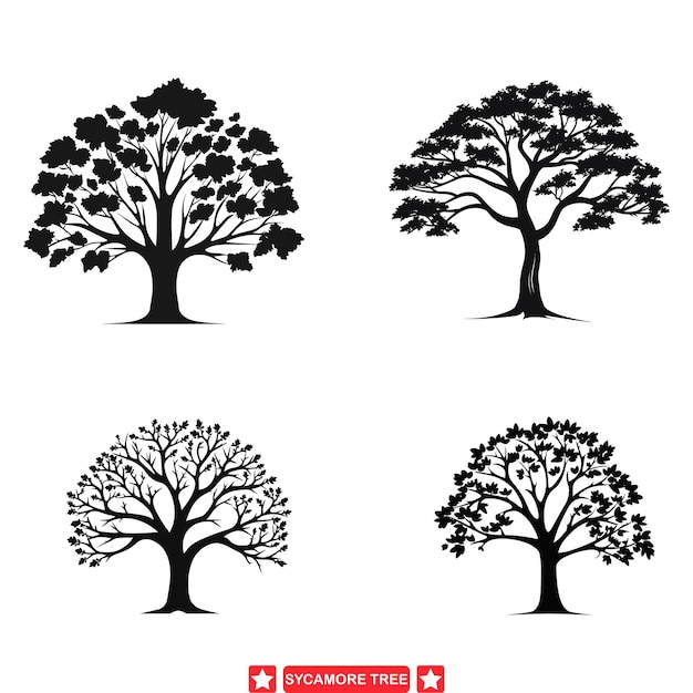 Sycamore Seasons Dynamic Vector Silhouette Set voor natuurliefhebbers