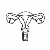 Vector a symbol for a female or female vector uterus and ovaries internal organ reproduction of female