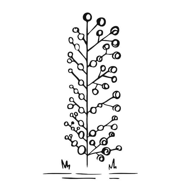 Символьные линии деревьев исходный векторный контур рисунка