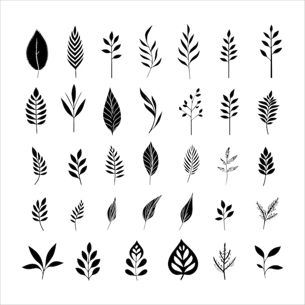 Symmetrical leaf designs in black and white