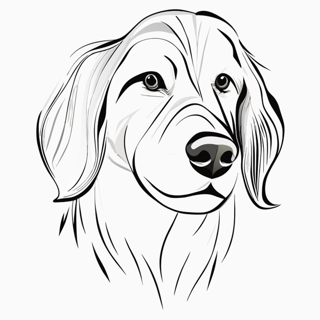 Vector symmetry golden retriever sketching front view vector illustration