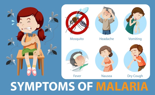 I sintomi della malaria in stile cartone animato infografica