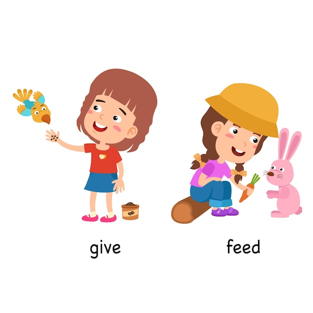 Synonyms give and feed vector illustration