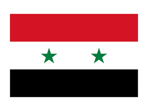 Syria flag official country flag world flag icon International flag icon