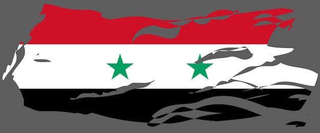 Vettore di bandiera della siria 10