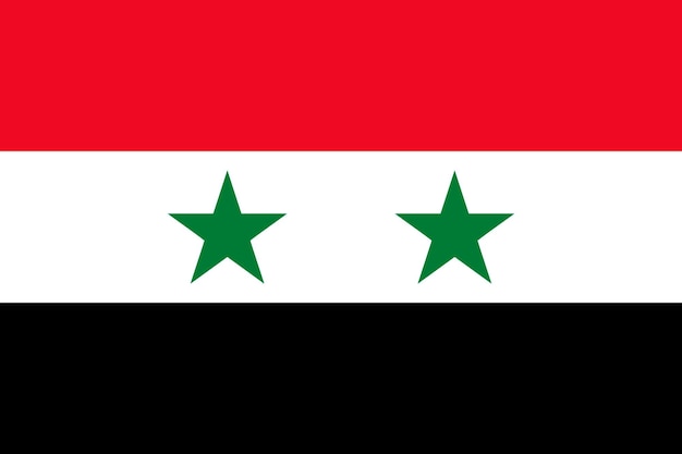 Vettore bandiera della siria