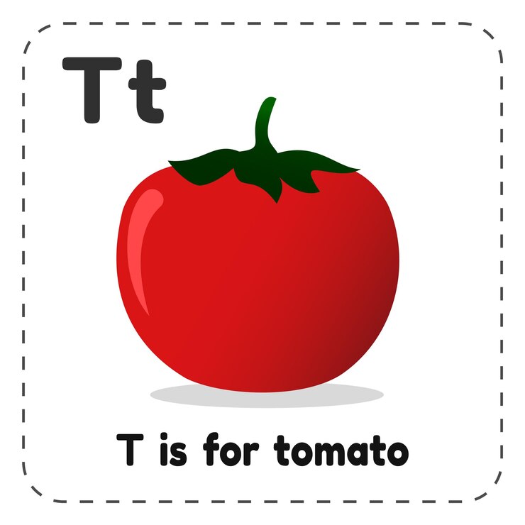 वेक्टर t is for tomato