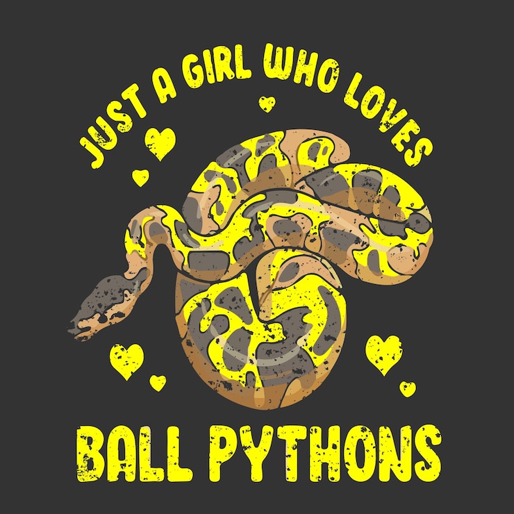 Vector t-shirt design and vintage illustration