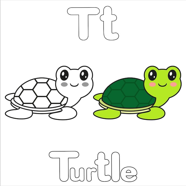 T for Turtle