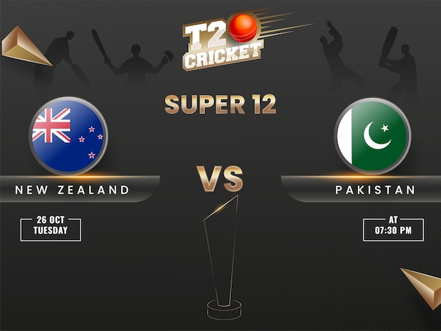 Vector t20 cricket schedule concept between two teams