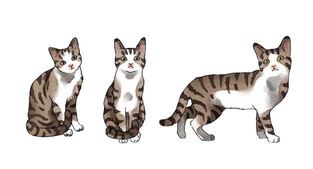 Vector tabby cats