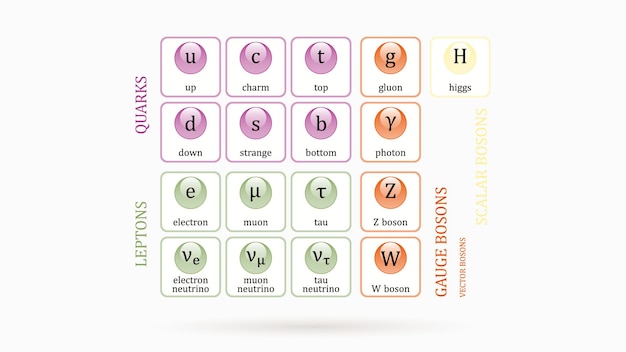 Vector table of elementary particles