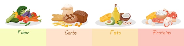 Table of macronutrients Fiber proteins fats and carbs presented by food products Vector illustration