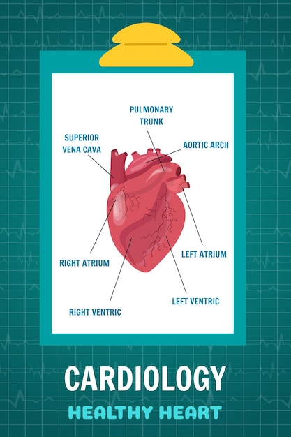 Tablet con studio medico del cuore nell'illustrazione vettoriale