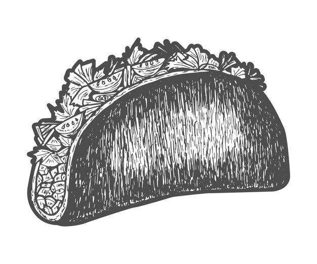 Vector taco engraving hand drawn vintage vector illustration