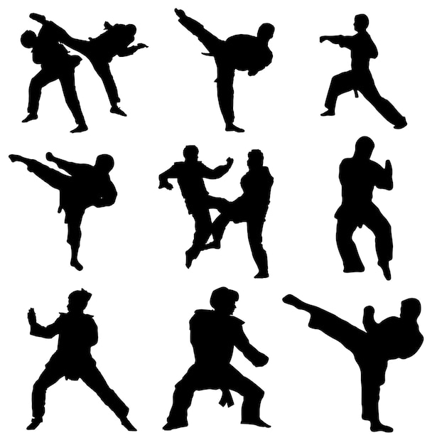 Pacchetto silhouette taekwondo