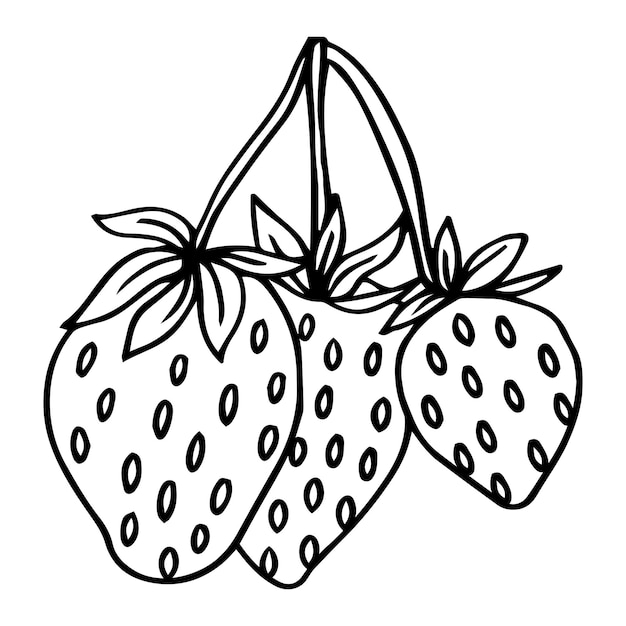 Vector tak met aardbeien geïsoleerd op een witte achtergrond