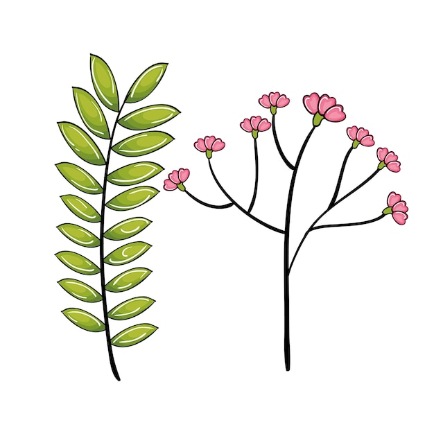 Vector tak met groene bladeren en roze bloemen op witte achtergrond. vector illustratie.