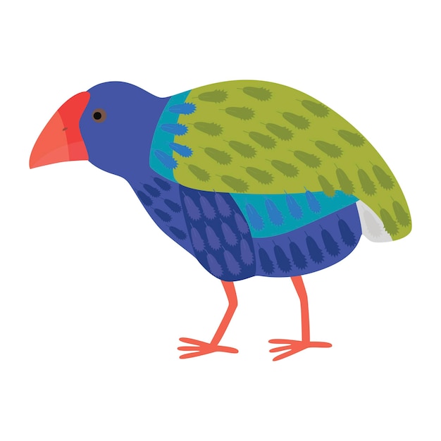 Takahe flightless bright bird