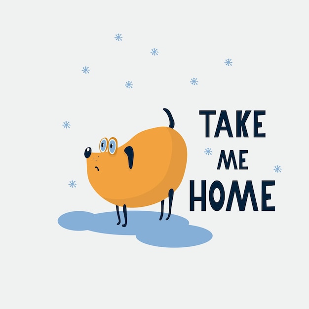 Take me home poster with a very sad little dog