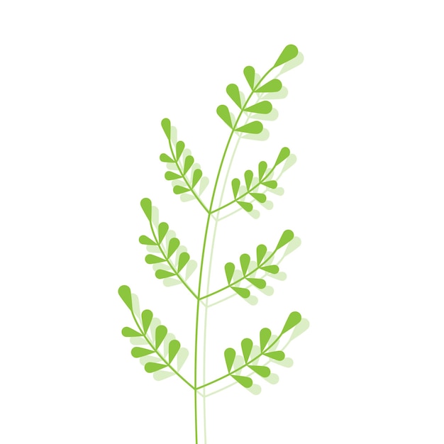 Takje met kleine groene bladeren Vector illustratie van plant Tekening van branchlet met schaduw