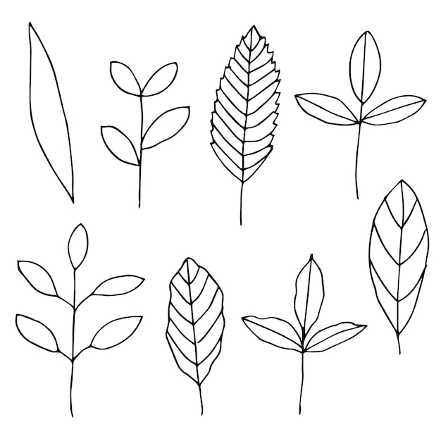 Takken en bladeren set vector illustratie met de hand getekende krabbels