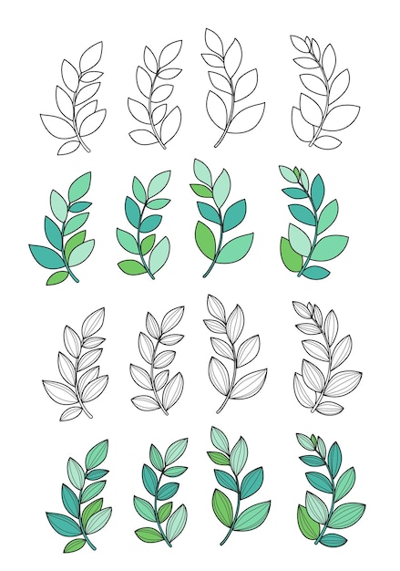 Takken met bladeren of algen in verschillende mate van detail geschetst en gekleurde versie op een witte achtergrond