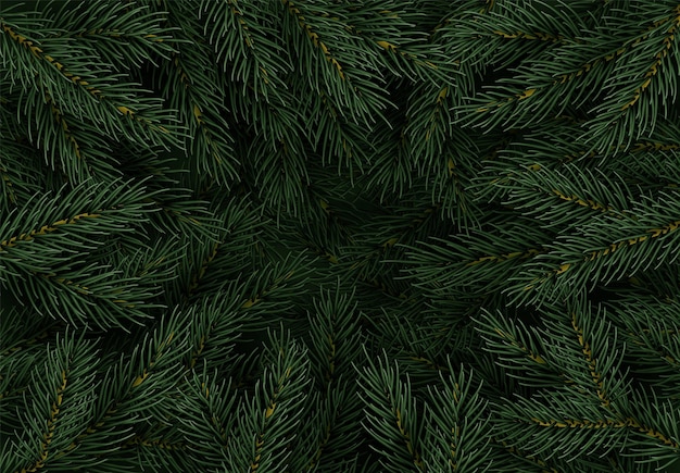 Takken van de kerstboom. Feestelijke kerstrand van groene dennentak. Patroon pijnboomtakken, vuren tak. Realistische decoratie-elementen. Vector illustratie