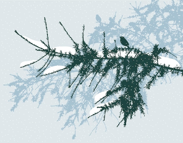 Takken van de sparren in besneeuwde dag