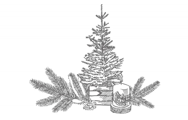 Takken van kerstbomen en kaars. Nieuwjaar en Kerstmis ontwerpelementen. . Vintage illustratie.