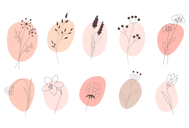 Takken van wilde bloemen In delicate crèmekleurige bloemen Highlight Story Natuurlijke handgetekende bloemen