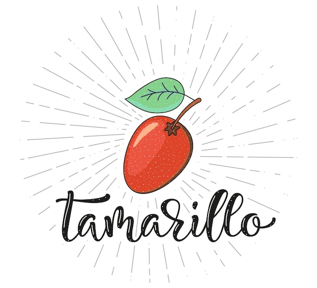 Vector tamarillo fruit symbol for farm market menu